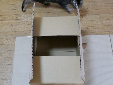 猫砂の箱5 3.4.JPG
