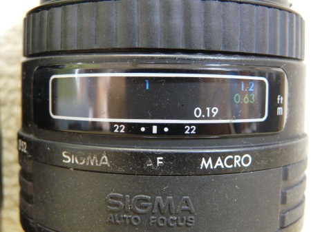 Sigma50macro-4 2.11.JPG